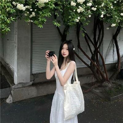 浪迹自由